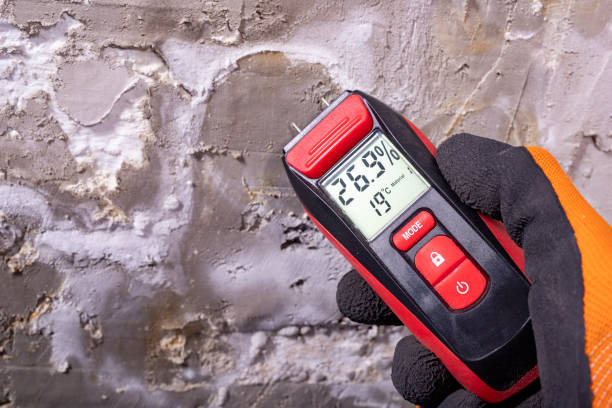 Best Home Mold Removal  in Athens, WV