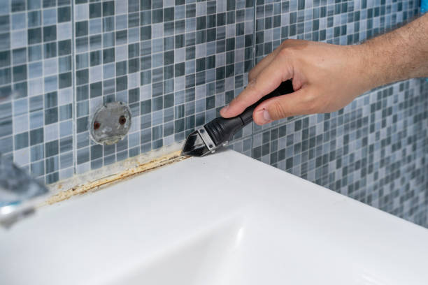 Best Emergency Mold Removal  in Athens, WV