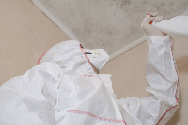 Best Toxic Mold Removal  in Athens, WV