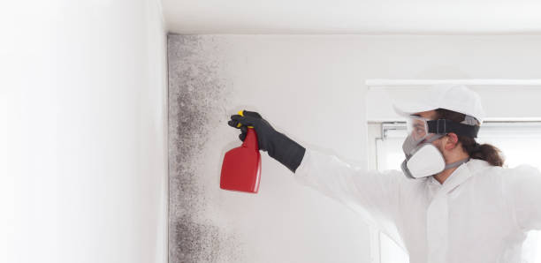 Best Mold Testing  in Athens, WV
